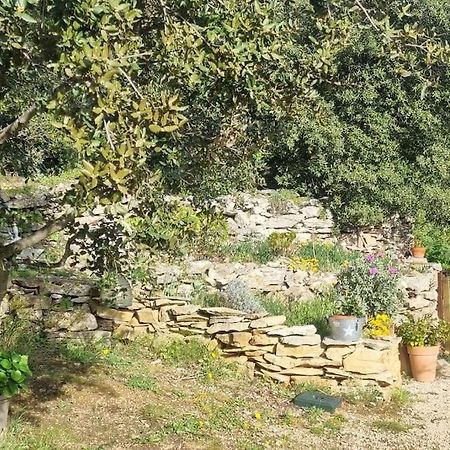 Maisonnette Chez L'Habitant Ла Сиота Екстериор снимка